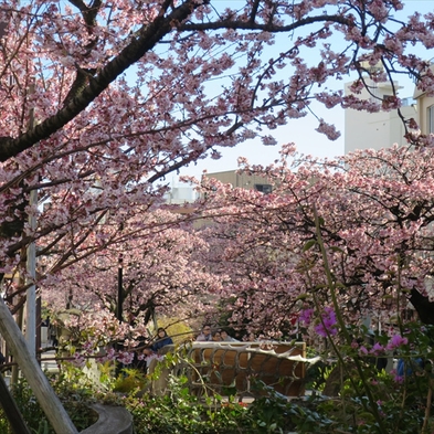 日本一の早咲き桜と梅　熱海伊豆山温泉に行こう。1月〜3月　熱海伊豆山ハートピア熱海　『あた海』プラン